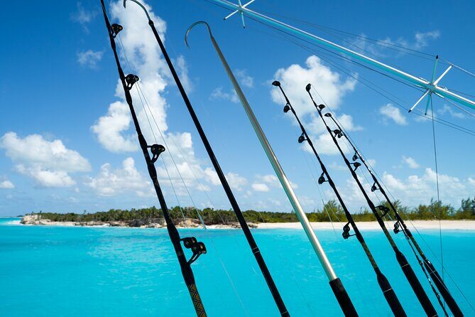 Pro Series Full Day Deep Sea Fishing on Angler Management - Diving Into the Details: What You Can Expect