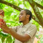 Project Chocolat Tree to Bar Tour at Hotel Chocolat Saint Lucia - The Details of the Chocolate Tour