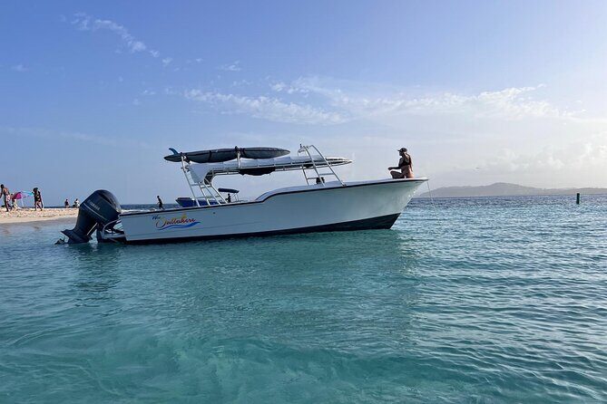 Public or Private Boat Trip to Icacos & Palomino - Authentic Experiences and Genuine Value