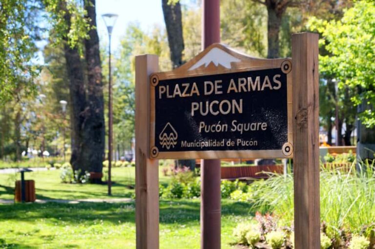 Pucón and Villarrica: Guided Tour with Hotel Pickup - The Sum Up