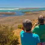 Puerto Madryn: Full Day Peninsula Valdes Experience Tour - An In-Depth Look at the Peninsula Valdes Full-Day Tour