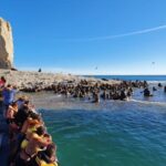 Puerto Madryn: Peninsula Valdes Tour with Whale Watching - Authentic Moments from Travelers