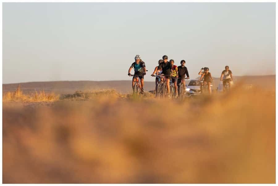 Puerto Madryn: Punta Cuevas Bike Tour for Cruise Passengers - Who Should Consider This Tour?