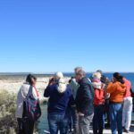 Puerto Madryn: Punta Loma Shore Excursion - A Detailed Look at the Puerto Madryn Punta Loma Shore Excursion