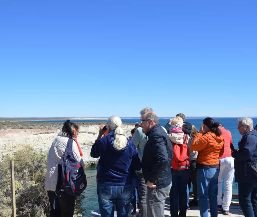 Puerto Madryn: Punta Loma Shore Excursion - A Detailed Look at the Puerto Madryn Punta Loma Shore Excursion