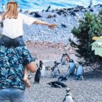 Puerto Madryn: Punta Tombo Shore Excursion for Cruise Guests - Detailed Review of the Punta Tombo Shore Excursion