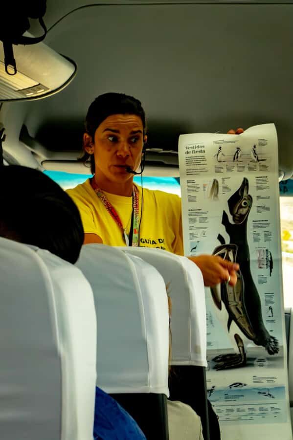 Puerto Madryn: Punta Tombo Walking Among Penguins Experience - An In-Depth Look at the Punta Tombo Penguin Experience