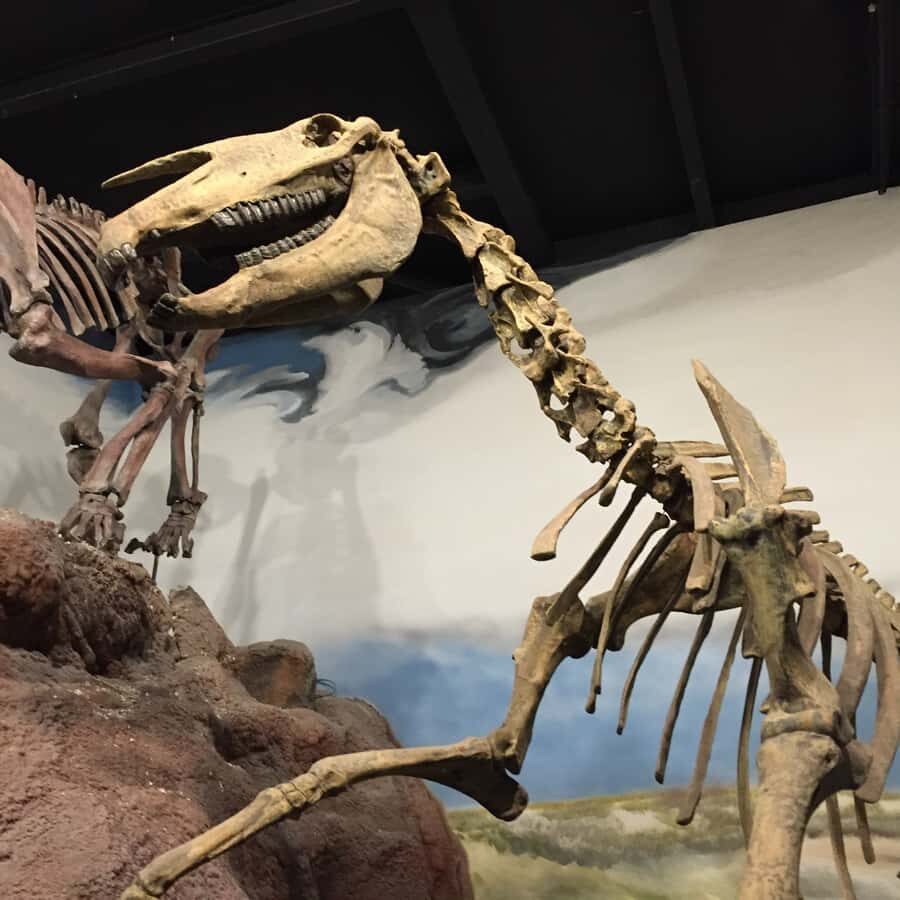 Puerto Madryn: Tour of Welsh Settlements in Patagonia - A Deep Dive into the Patagonia Welsh Experience