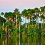 Puerto Maldonado: 2-Day Peruvian Tambopata Jungle Trip - Exploring the Itinerary in Detail