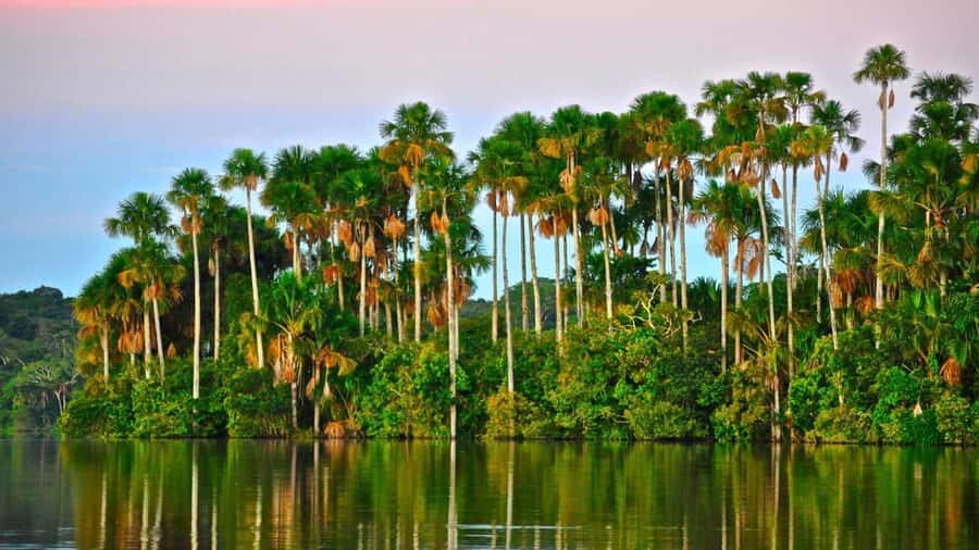 Puerto Maldonado: 2-Day Peruvian Tambopata Jungle Trip - Exploring the Itinerary in Detail