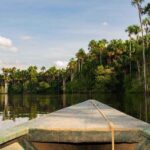 Puerto Maldonado: 4-Day Amazon Jungle Adventure - What Makes This Tour Stand Out?