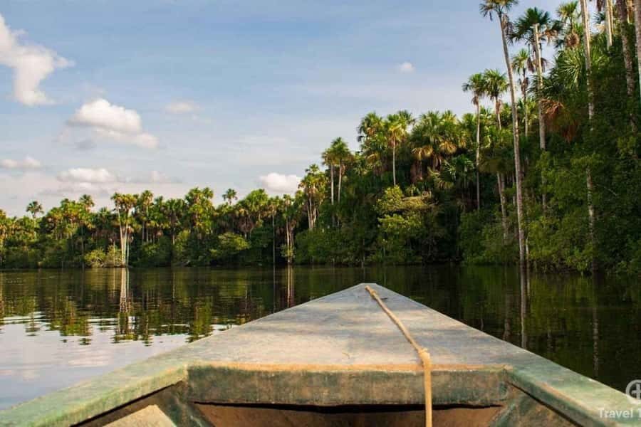 Puerto Maldonado: 4-Day Amazon Jungle Adventure - What Makes This Tour Stand Out?