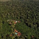 Puerto Maldonado : 4-Day Amazon Rainforest Adventure - Final Thoughts: Is This Tour Right for You?