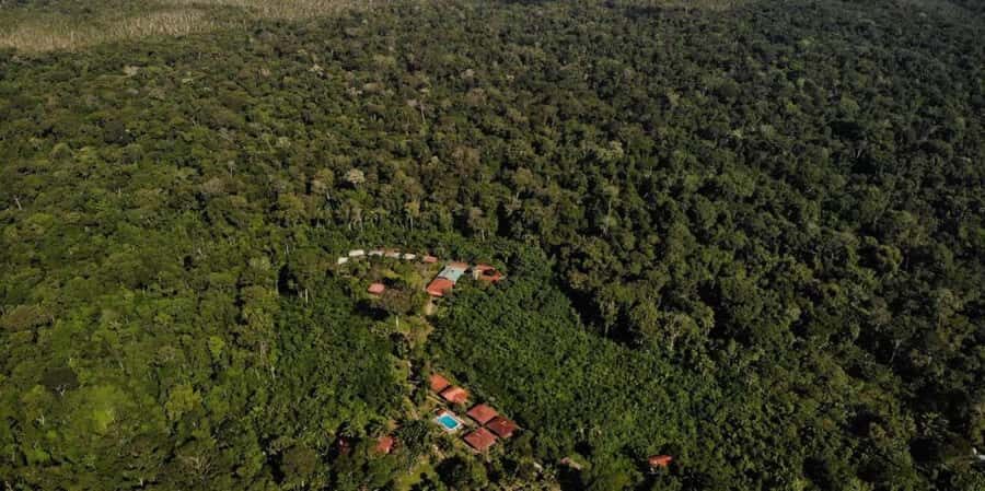 Puerto Maldonado : 4-Day Amazon Rainforest Adventure - Final Thoughts: Is This Tour Right for You?