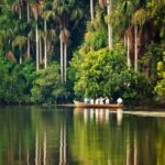 Puerto Maldonado |Hiking in the jungle + Sandoval Lake| - Frequently Asked Questions