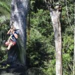 Puerto Maldonado: Jungle Adventure |Zipline + Canopy + Kayak - What’s Included and Whats Not?