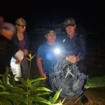 Puerto Maldonado: Jungle Night Tour with Sloths & Tarantulas - The Practical Details