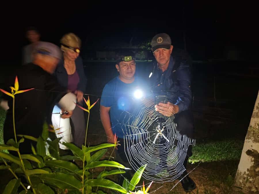 Puerto Maldonado: Jungle Night Tour with Sloths & Tarantulas - The Practical Details