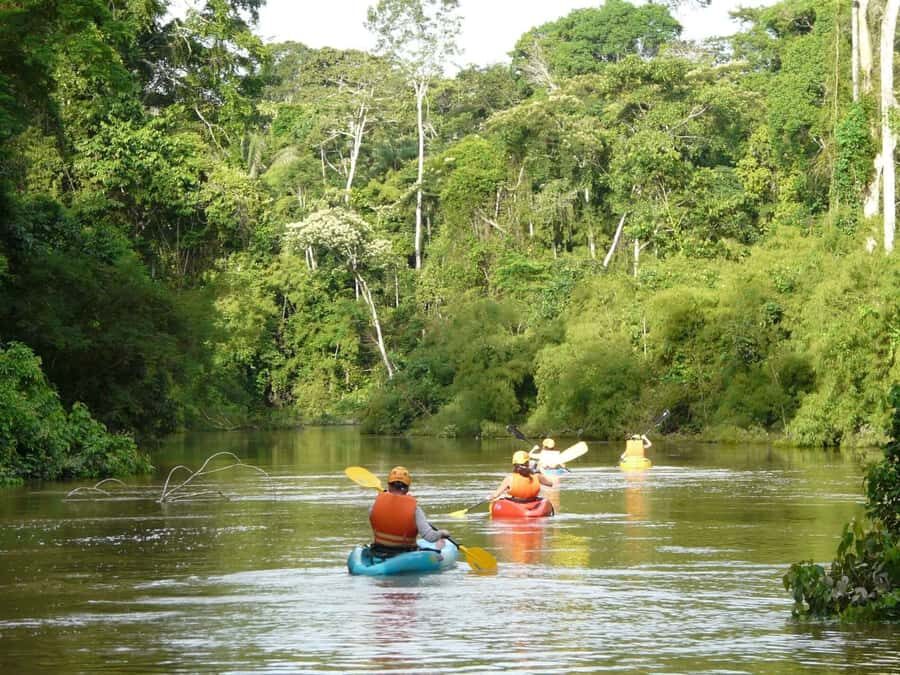 Puerto Maldonado: Kayak and Zip Line Adventure + Monkey Isla - Practical Details and Tips