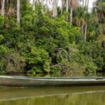 Puerto Maldonado: Lago Sandoval Day Trip with Lunch - Practical Details: What You Need to Know