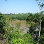 Puerto Maldonado: Parrot and Macaw Clay Lick Excursion. - Final Thoughts: Who Should Consider This Tour?