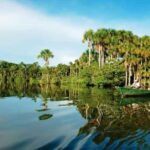 Puerto Maldonado: Piranha Fishing and Parrot Watching - Why This Tour Matters