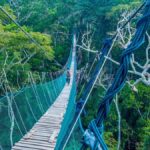 Puerto Maldonado: Tambopata National Reserve 3-day excursion - The Practical Details: Transportation, Meals, and Comfort