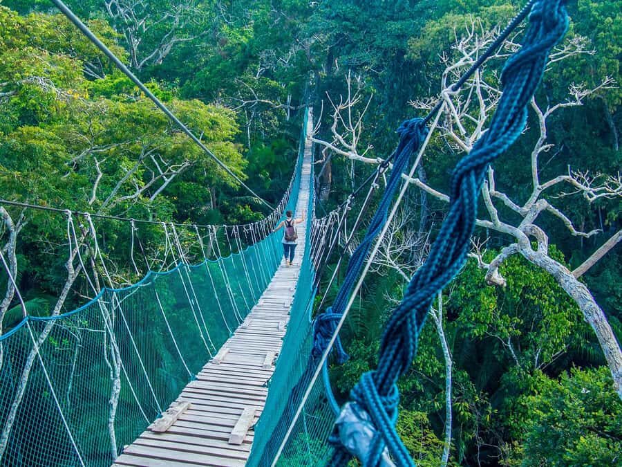 Puerto Maldonado: Tambopata National Reserve 3-day excursion - The Practical Details: Transportation, Meals, and Comfort