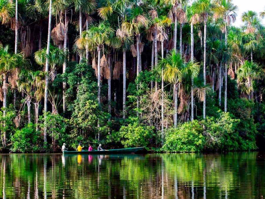 Puerto Maldonado: Tambopata National Reserve 4 Days - How the Experience Comes Together