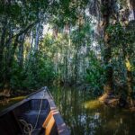 Puerto Maldonado: Tambopata National Reserve Excursion 4-day - A Closer Look at the 4-Day Itinerary