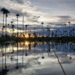 Puerto Maldonado Visit to Lake Yacumama and Enjoy the Sunset - Detailed Review of the Lake Yacumama Sunset Tour