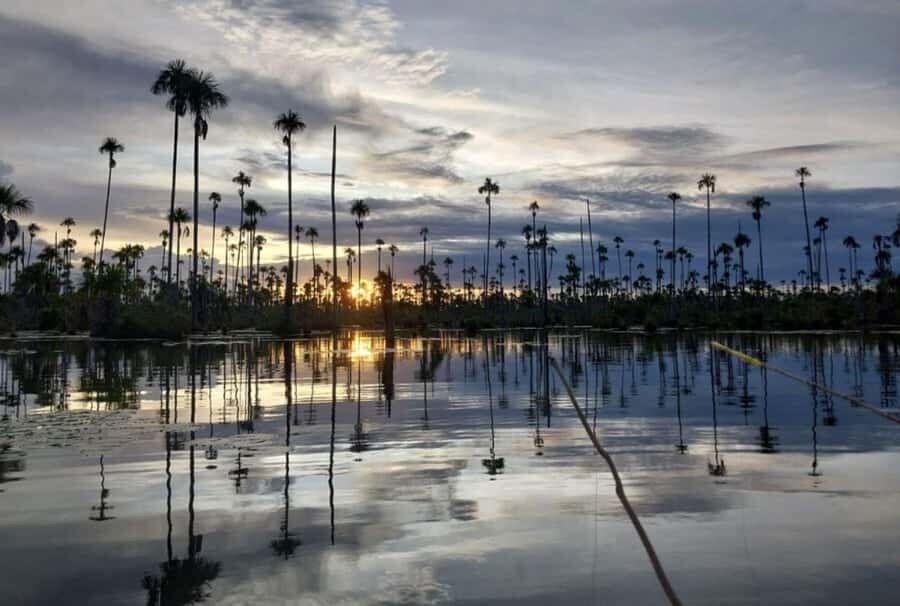 Puerto Maldonado Visit to Lake Yacumama and Enjoy the Sunset - Detailed Review of the Lake Yacumama Sunset Tour