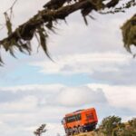 Puerto Natales: Cerro Dorotea 8x8 Tour with Panoramic Views - Who Will Enjoy This Tour?