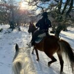 Puerto Natales: Full Day Horse Riding to the Mountains - A Genuine Look at This Patagonia Horse Ride