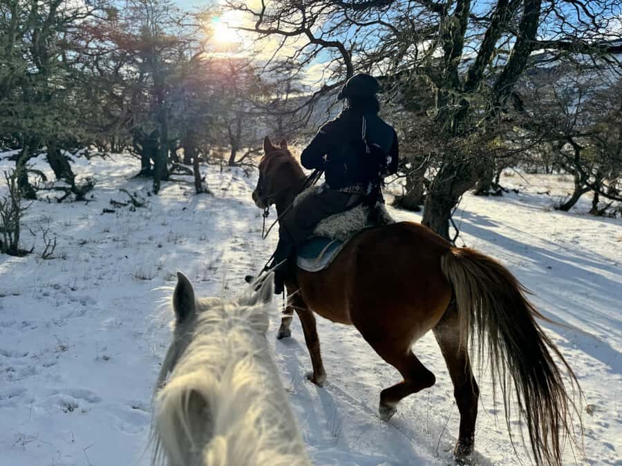 Puerto Natales: Full Day Horse Riding to the Mountains - A Genuine Look at This Patagonia Horse Ride