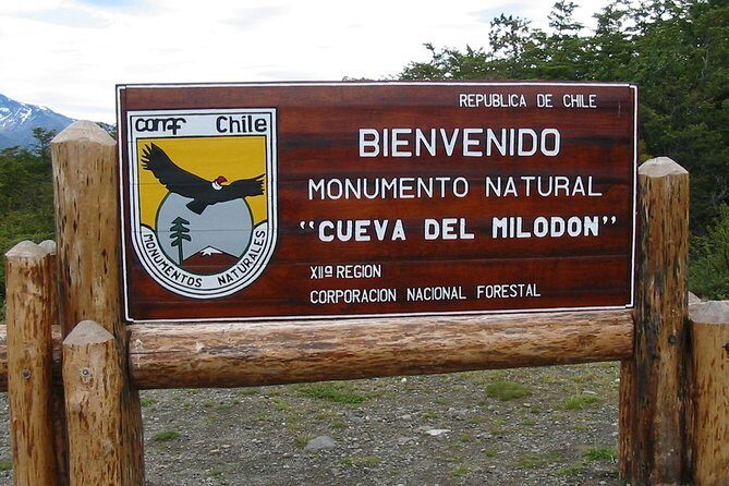 Puerto Natales: Full day tour Torres del Paine - What the Reviews Reveal