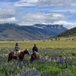 Puerto Natales: Horseback Riding with Horse Connection - A Deep Dive into the Puerto Natales Horseback Experience