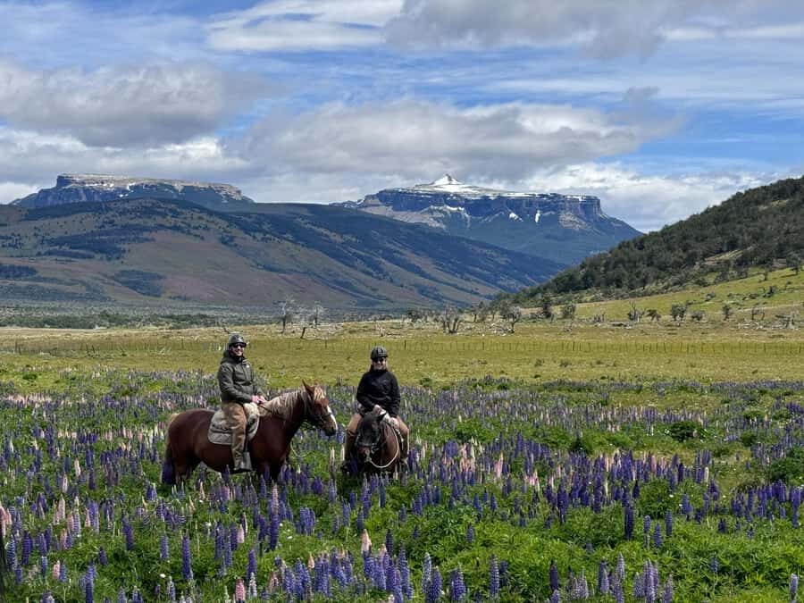 Puerto Natales: Horseback Riding with Horse Connection - A Deep Dive into the Puerto Natales Horseback Experience