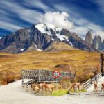 Puerto Natales: Tour Package (Full Day + Base Torres + Grey) - What the Experience Means for You