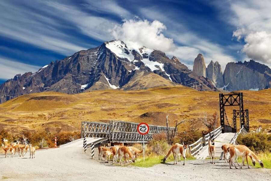 Puerto Natales: Tour Package (Full Day + Base Torres + Grey) - What the Experience Means for You