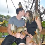 Puerto Plata City Tour with Monkeys - Who Should Consider This Tour?