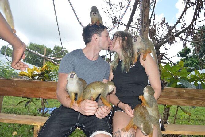 Puerto Plata City Tour with Monkeys - Who Should Consider This Tour?