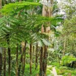 Puerto Plata City Tour with the Mount Isabel, Rum & Chocolate - The Logistics: What to Expect and Why It Matters