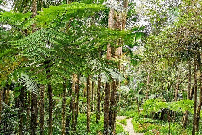 Puerto Plata City Tour with the Mount Isabel, Rum & Chocolate - The Logistics: What to Expect and Why It Matters