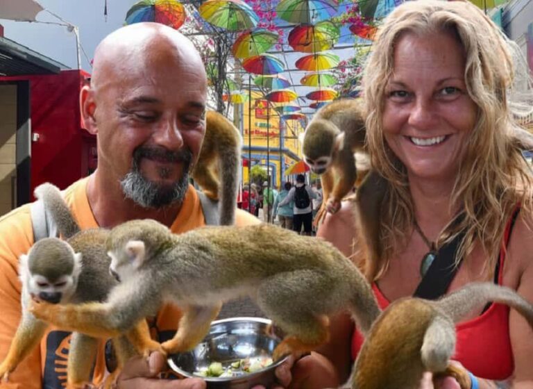 Puerto Plata: Cultural Tour & Ethical Monkey Observation - A Deep Dive into the Experience
