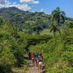 Puerto Plata: Damajagua waterfalls + Horseback riding( TOP2IN1) - Starting the Day: Damajagua Waterfalls