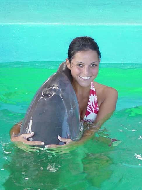 Puerto Plata: Dolphin Encounter at Ocean World - The Experience of the Guides and Staff