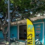 Puerto Plata: E-Bike Rental electric bike - In-Depth Look at the Experience