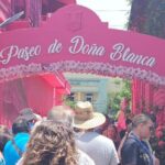 Puerto Plata Historic Town & Countryside - Amber Cove & Taino Bay - Who Should Consider This Tour?