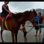 Puerto Plata: Horseback Riding Tour with Beach Views - Who Should Consider This Tour?